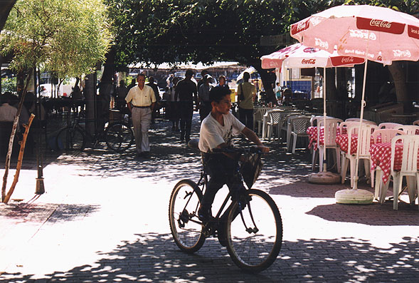 boy riding bike on sunny street