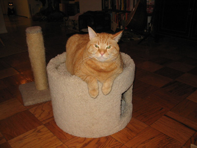 winston