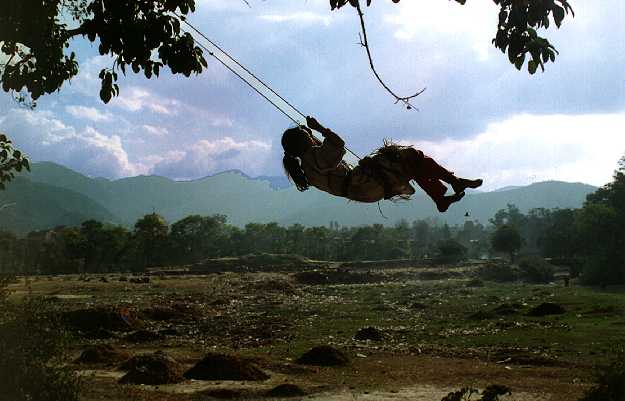 swing in tree